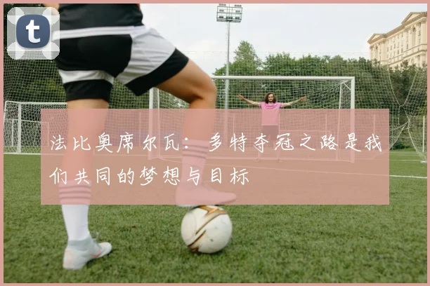 法比奥席尔瓦：多特夺冠之路是我们共同的梦想与目标