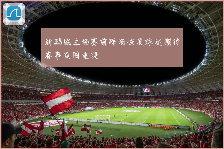 新鹏城主场赛前踩场恢复球迷期待赛事氛围重现